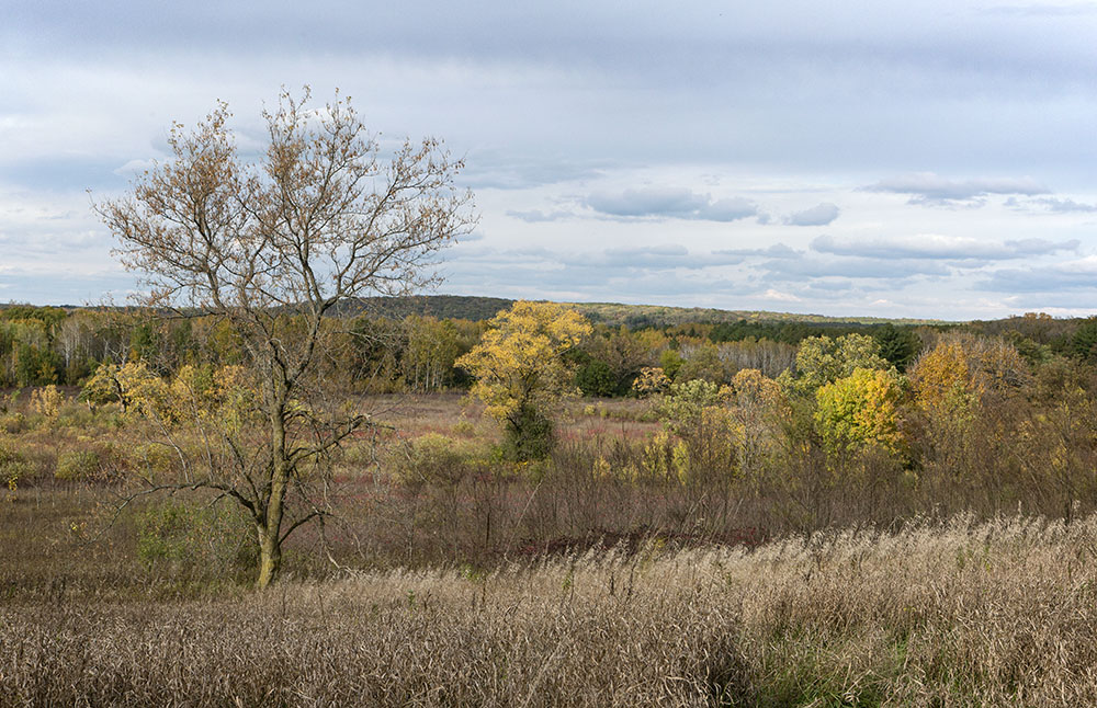 Although I've been on many other segments of the Ice Age National Scenic Trail--and other parts of the Southern Unit of Kettle Moraine State Forest--this was my first hike on the Brady's Rocks segment.