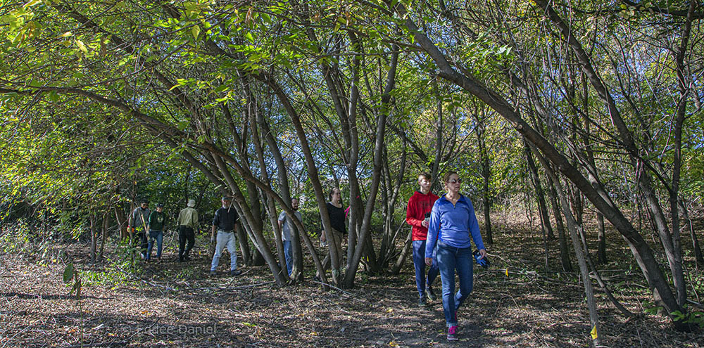 Lincoln Creek Greenway trail