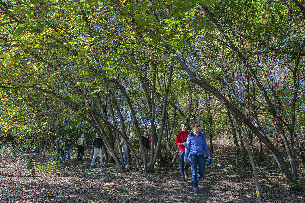 Touring the newly cut trail.