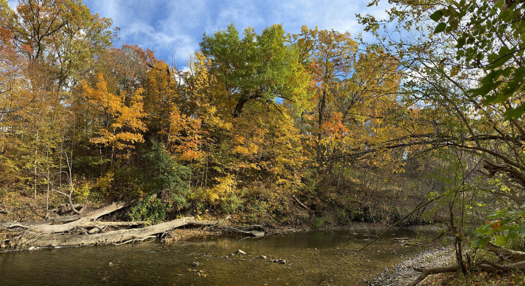 I discovered Frontier Park in Butler when I was exploring the Menomonee River 20 years ago and haven't been back since. It was especially nice to reconnect now as it was one of the best places for autumn color I visited this year.