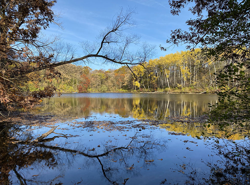 While I was down that way, I discovered the magnificent Rice Lake Nature Trail, which encircles Rice Lake at the southern end of the Southern Unit of Kettle Moraine State Forest.