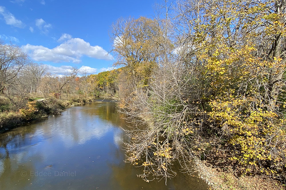 A river runs through it. This is Colonial Park, a lovely urban wilderness in the heart of downtown Racine.