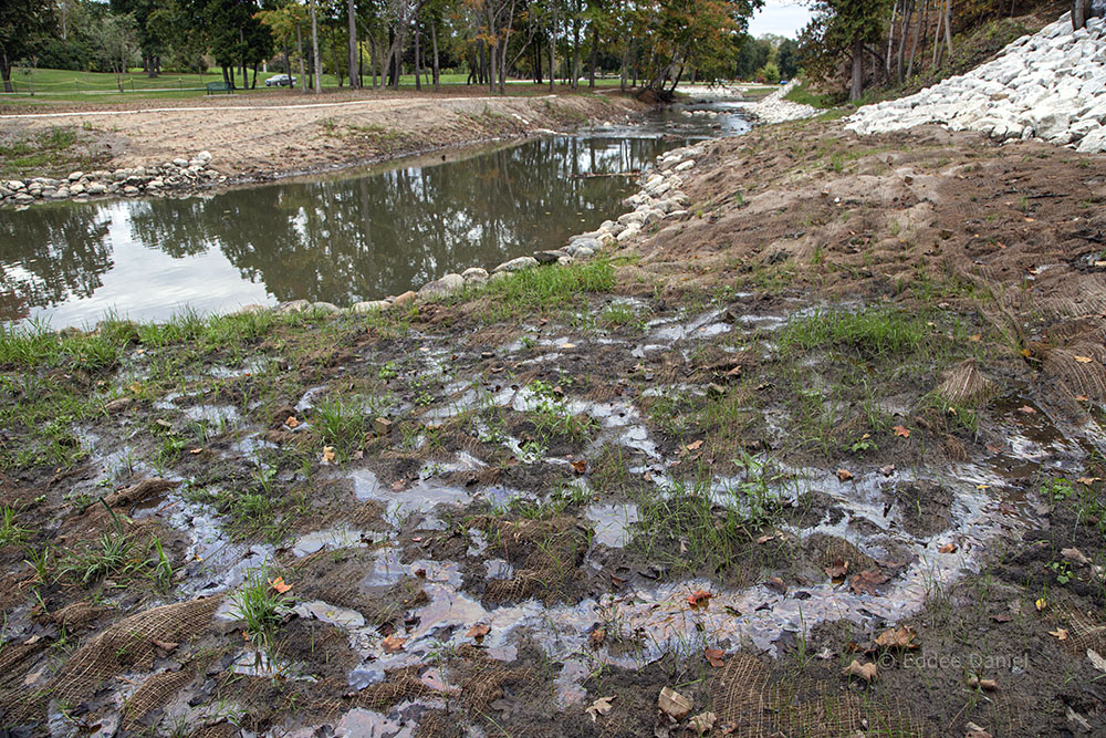 An oil-like sheen can be seen in places where there is natural seepage from the springs that give the park its name. The sheen is made by bacteria that are reacting to the presence of naturally occurring minerals in the water. Sunlight bouncing off the film gives it an oily appearance.