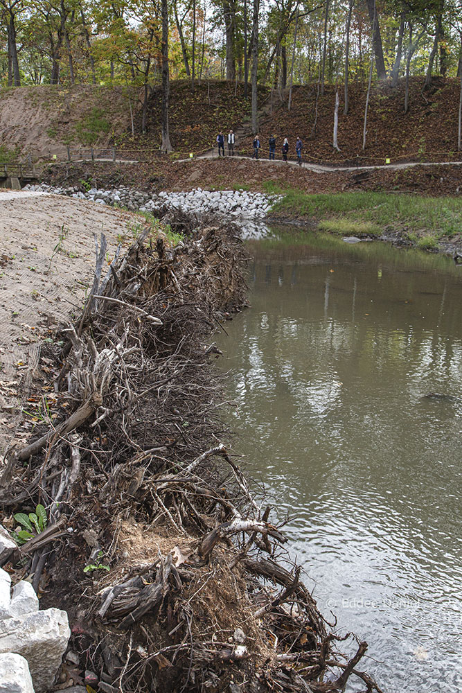 Native woody material, called toe wood, is used to replicate natural stream banks and enhance fish habitat, stabilize stream banks, and provide a natural aesthetic.