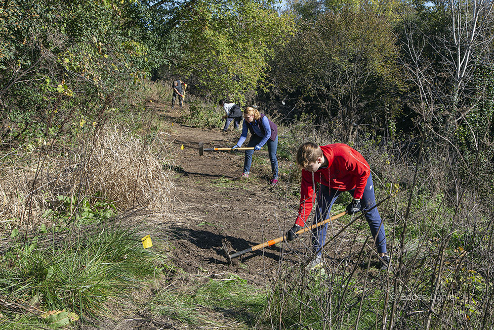 Volunteers working on the new trail in the Greenway.