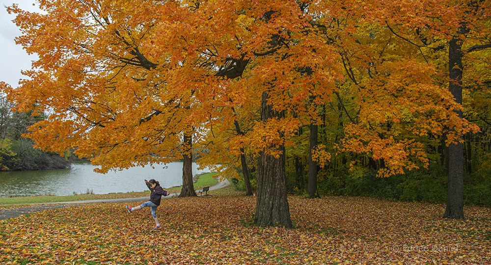 Jackson Park in autumn