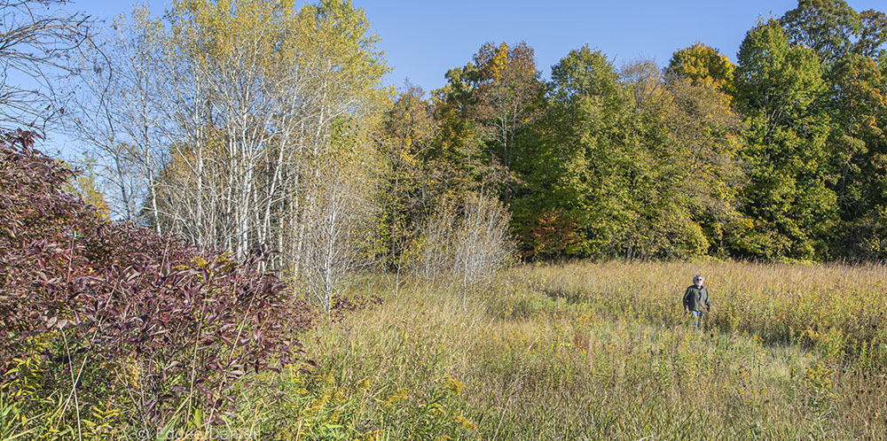 Berel Lutsky walking a prairie trail at Kratzsch Conservancy