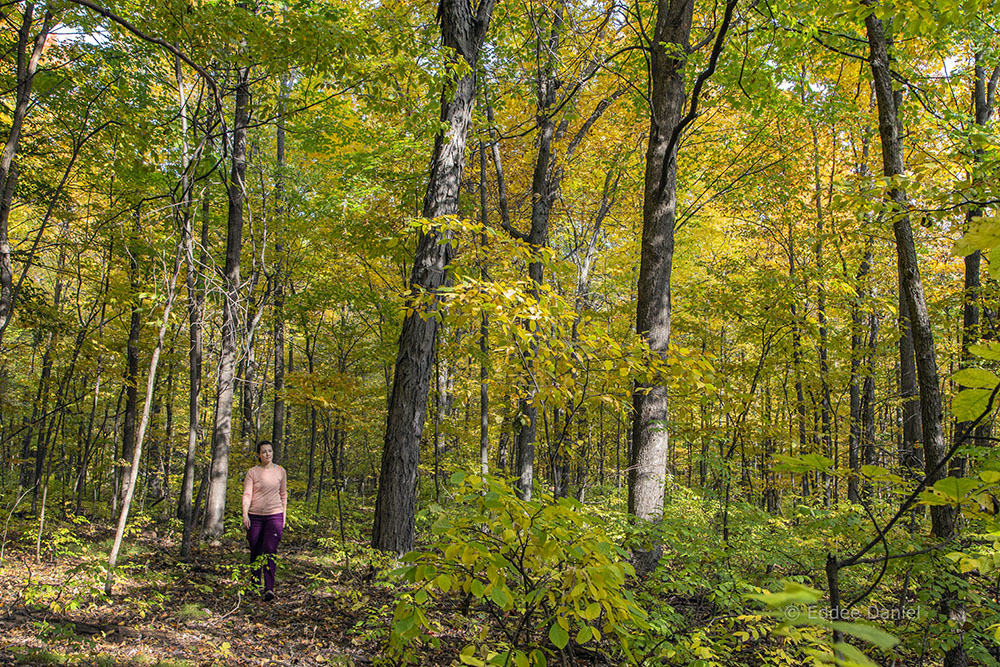 Beth Stoddard on the woodland trail in Fitzsimmons Woods.