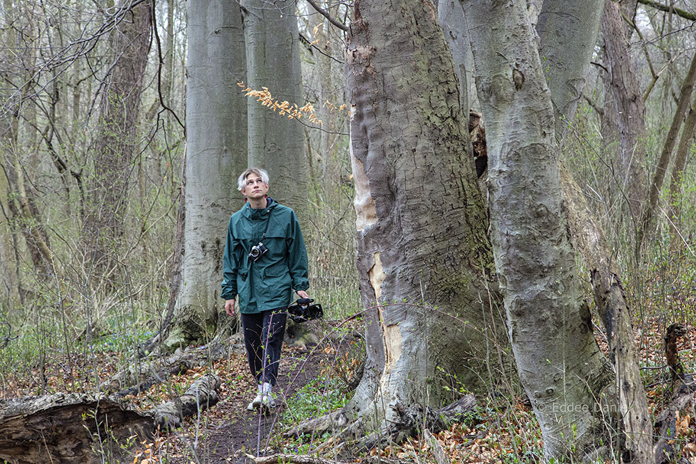 Jayce Kolinski in a grove of ancient beeches in the Greenway.