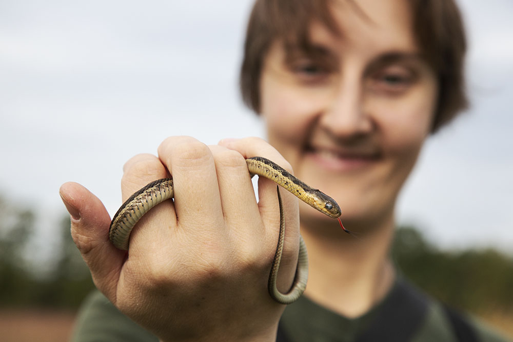 DNR biologist Diane Robinson with a garter snake.