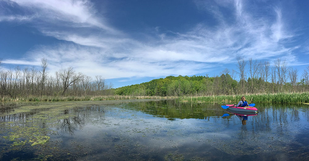 Kettle Moraine State Forest - Loew Lake Unit