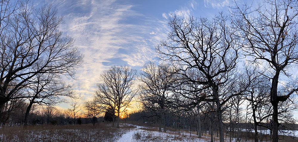 Badertscher Preserve at Sunset