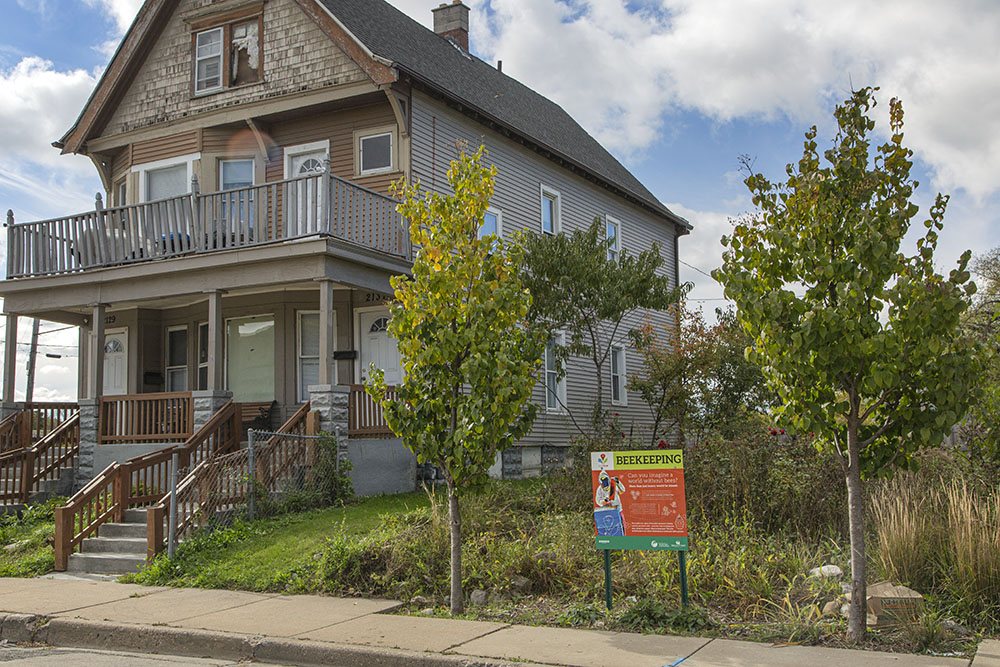 A natural garden and beekeeping operation in the Lindsay Heights neighborhood.