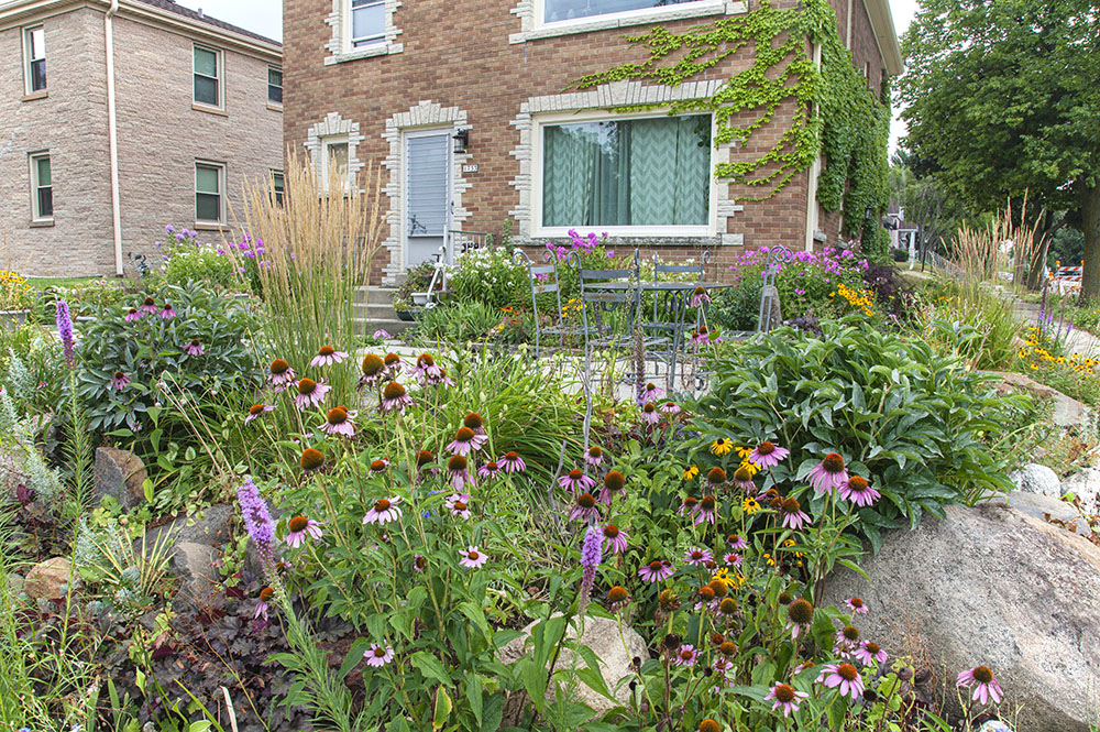 A natural yard in the Garden City neighborhood.