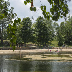 Beach and pond on a summer day