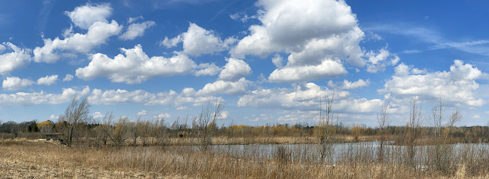 Trinity Creek Wetland Panorama