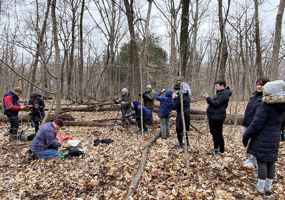 Owl banding as a spectator sport.