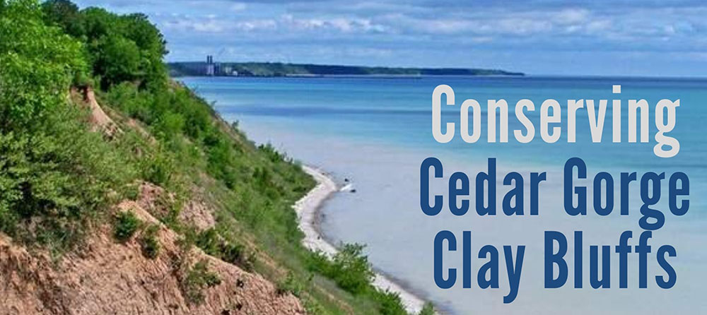 Cedar Gorge Clay Bluffs