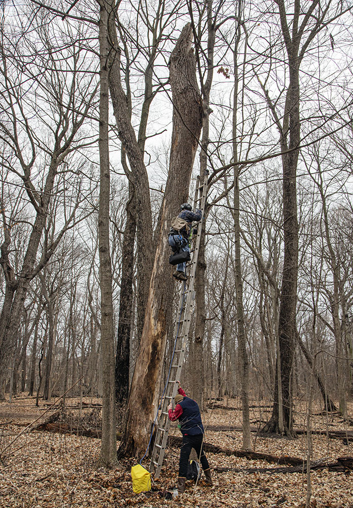 The team begins the ascent.