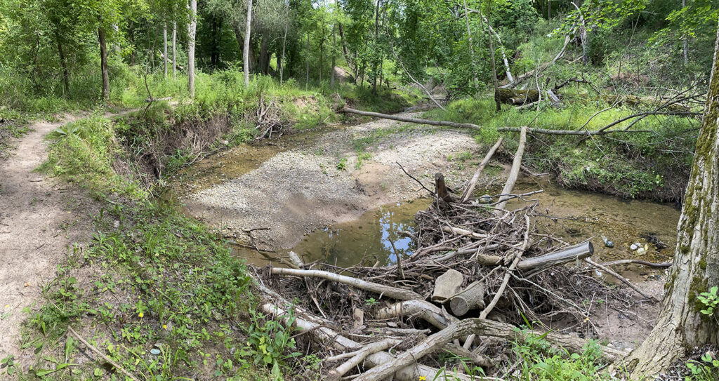 The mountain bike trail runs alongside the creek.