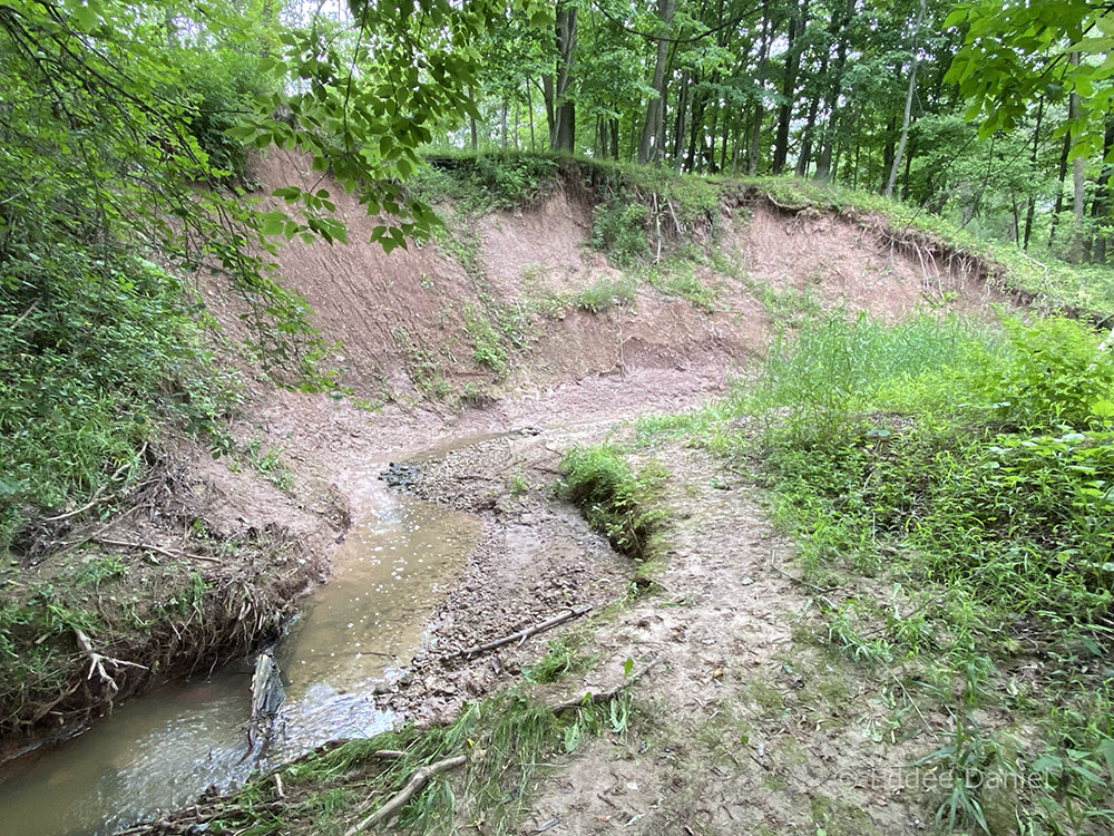 Stream bank erosion.