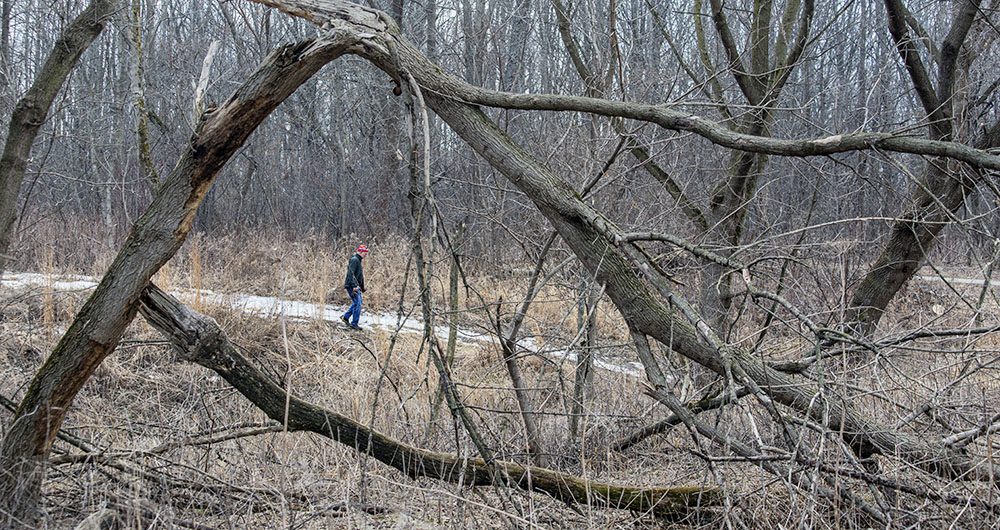 Hiker in Warnimont Park