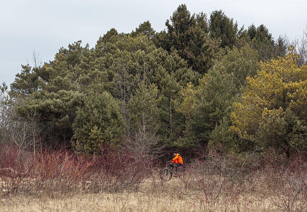 Cycling out of the pines and into the prairie on the Oak Leaf Trail 