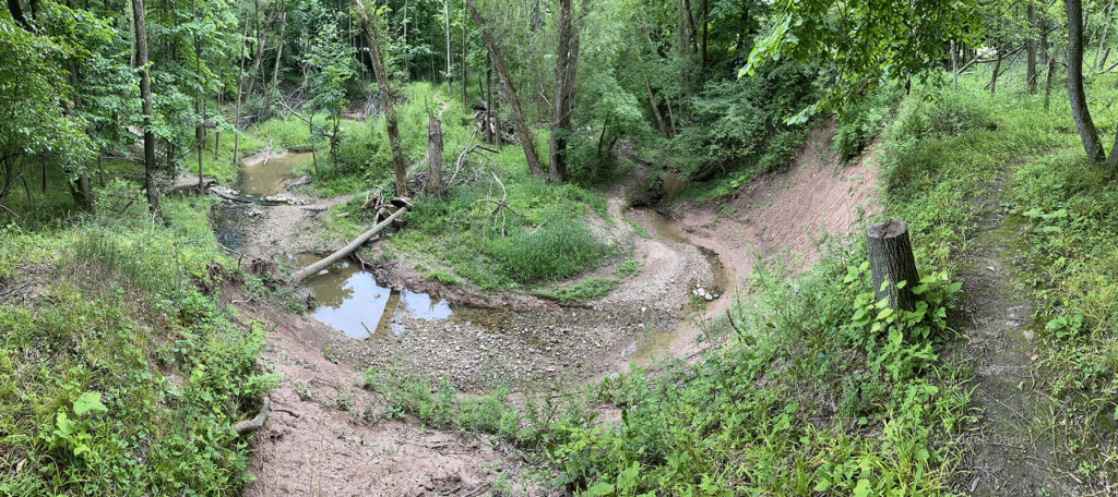 An oxbow in the creek.