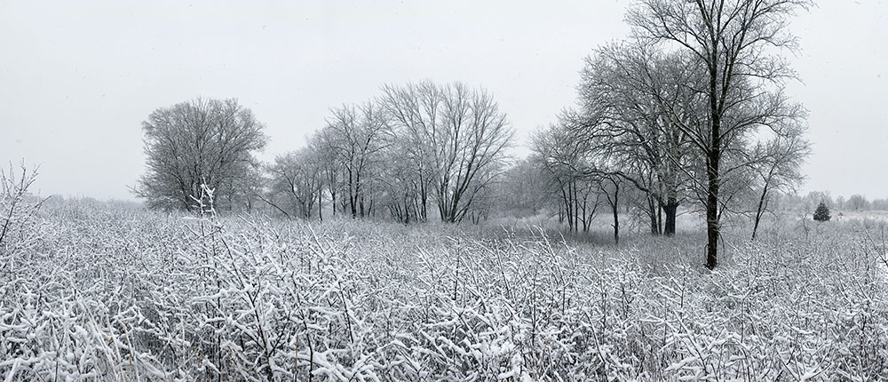 Forked Aster Trail in Snow