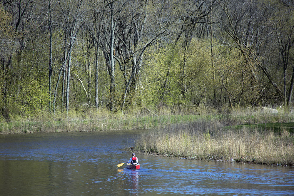 A lone canoeist collecting trash along the Milwaukee River in Lincoln Park, 2017.