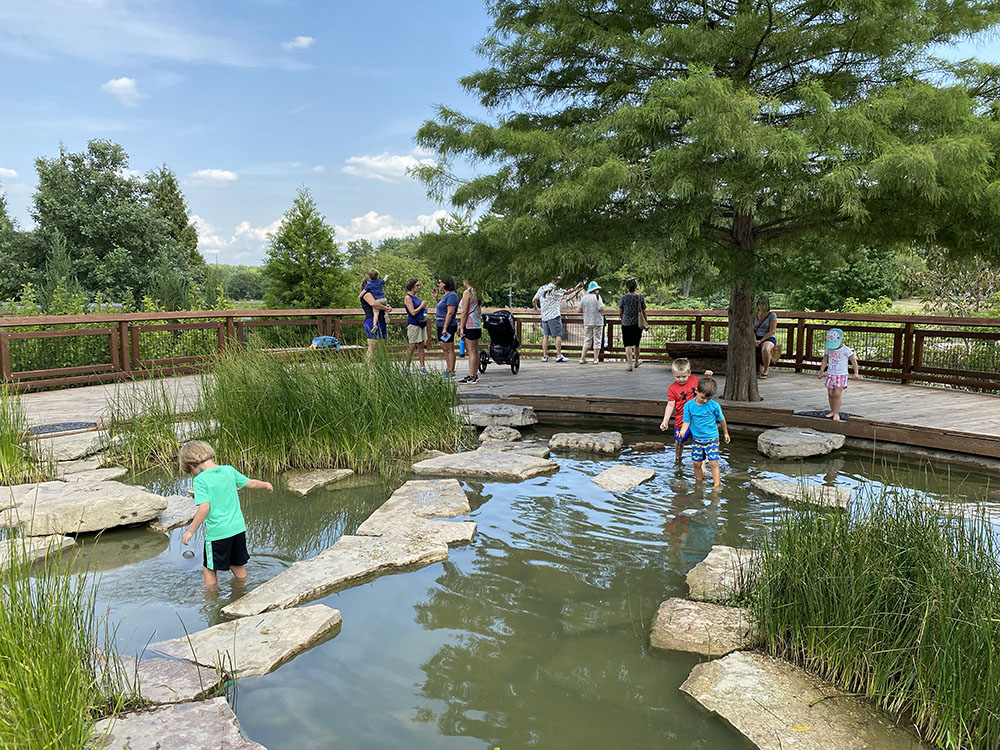 A pond in the Children's Garden