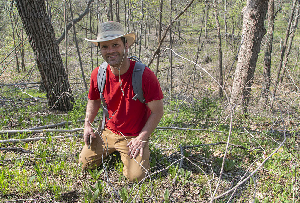 Dan Carter, one of The Prairie Enthusiasts, checking vegetation on the drumlin slope.