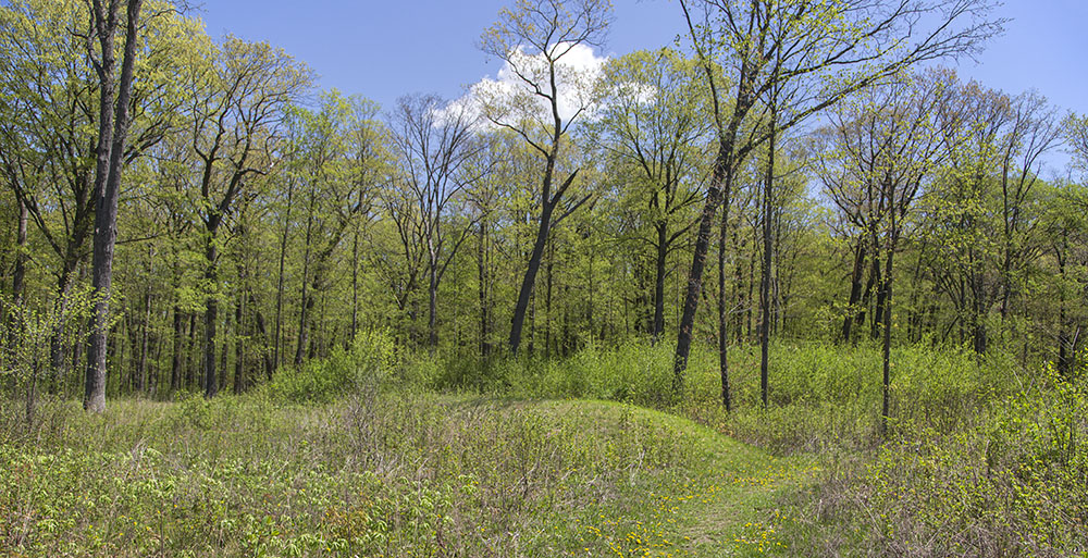 Lizard Mound State Park