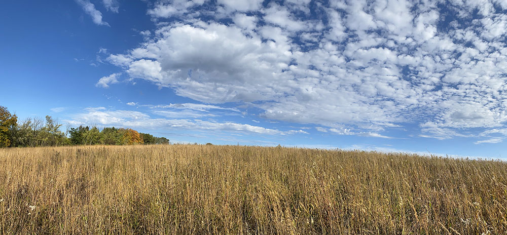 Retzer Nature Center hilltop prairie