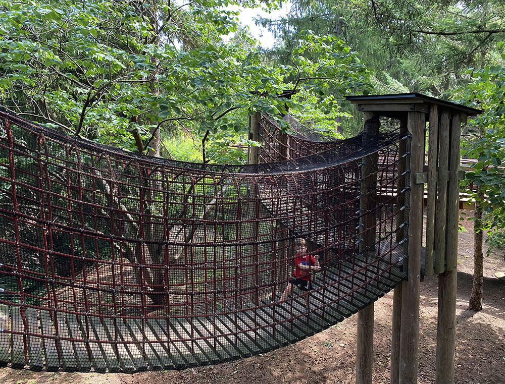 The Children's Garden boasts a kid-scaled canopy walk