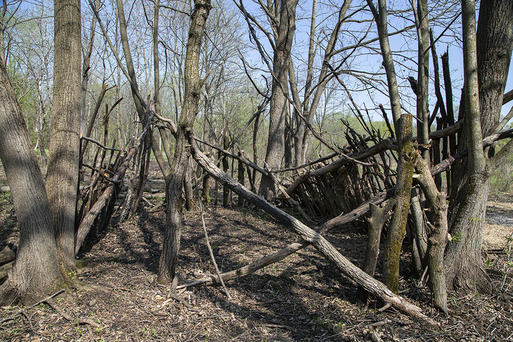 Someone--neighborhood kids? --has constructed an elaborate stick.