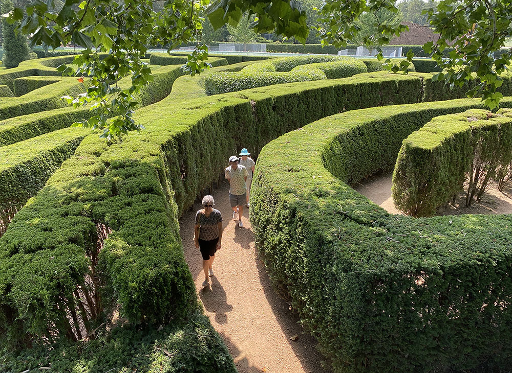 The Maze Garden