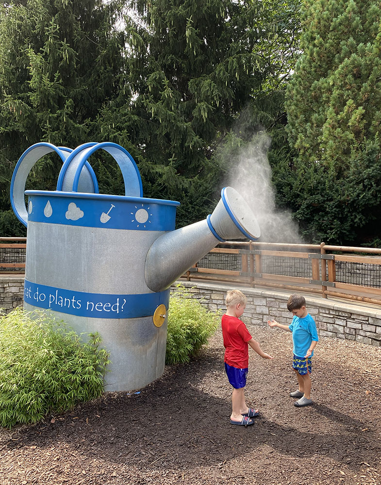 Playing in the mist in the Children's Garden