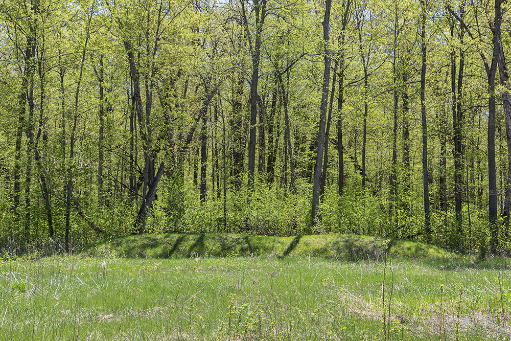 Linear mound on the edge of the meadow