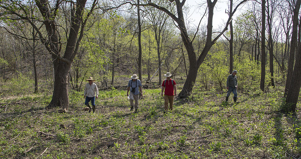 The Prairie Enthusiasts at Badertscher Preserve