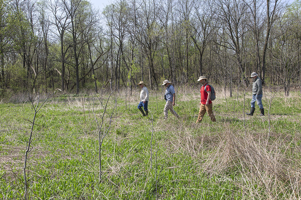 The team makes its way across the meadow. 