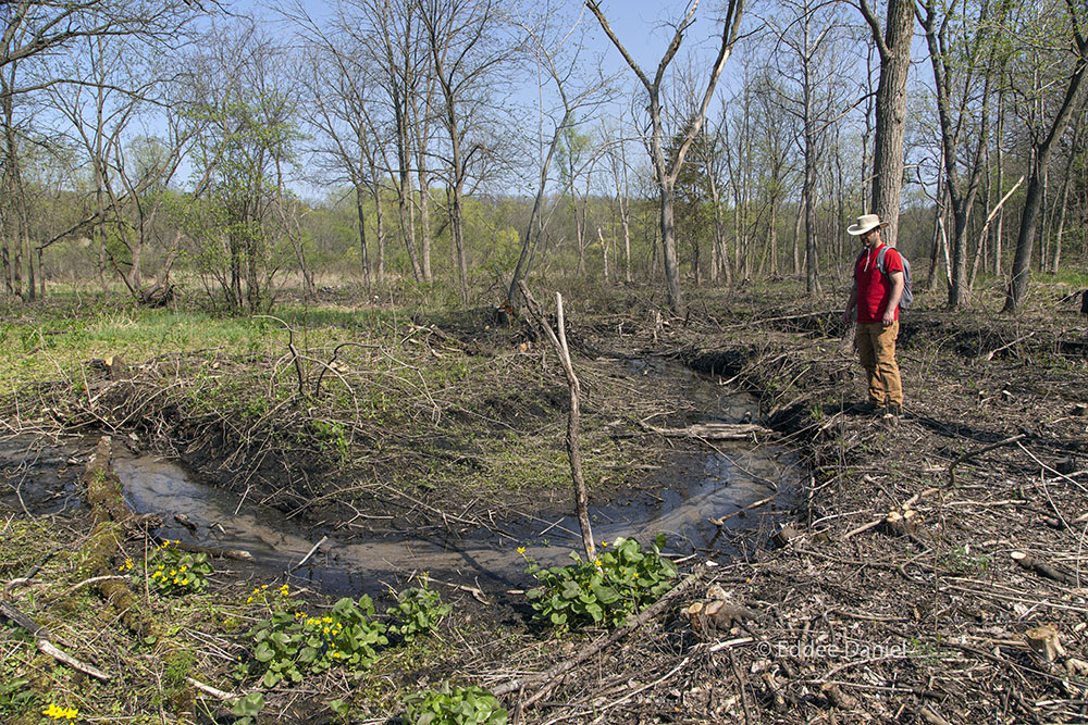 An oxbow in the spring-fed rill.