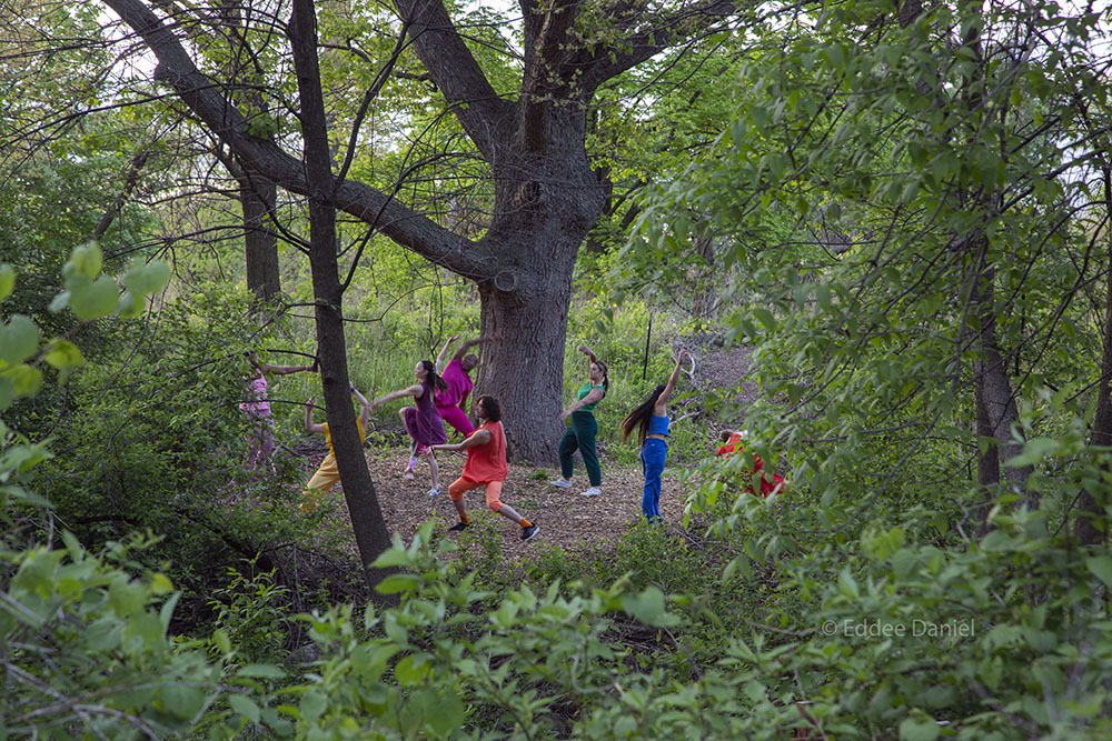 dancers dancing in a woodland clearing