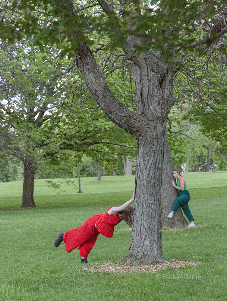 dancers dancing with trees