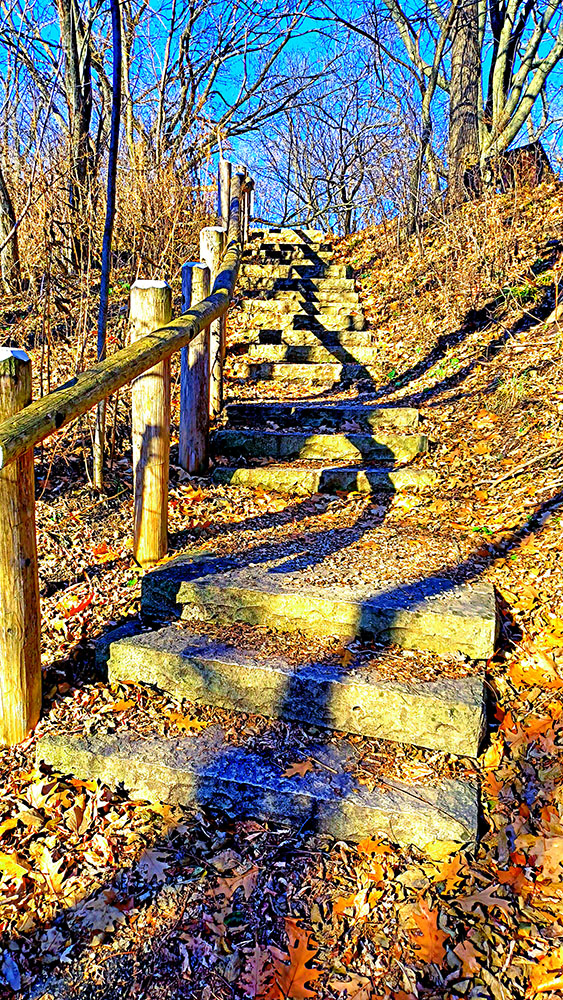 "Stairs at Estabrook", photo capturing great shadows