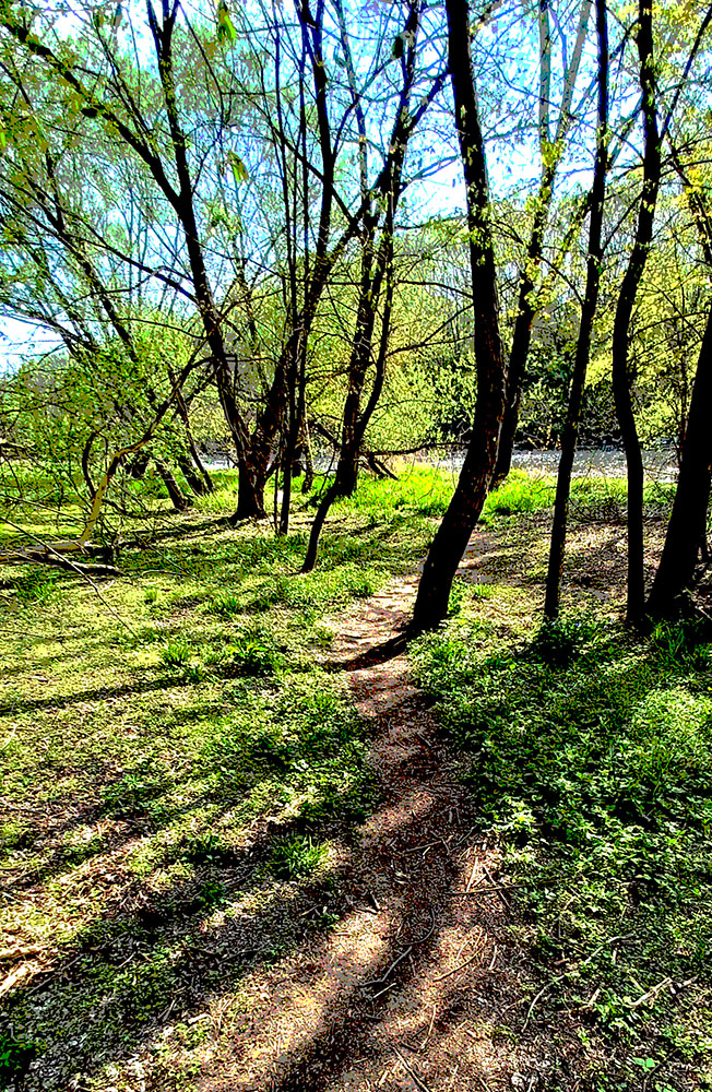 "Shadows on west bank", Photo.  More shadows and finally some green in Spring!