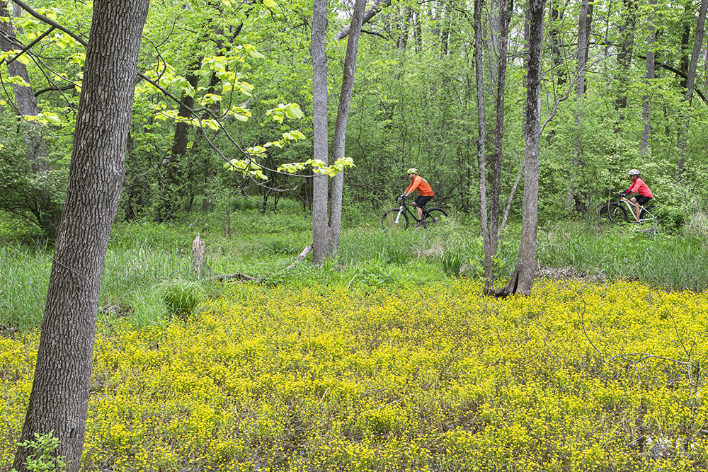 Mountain bikers on the Bubba's Woods Mountain Bike Trail. Menomonee River Parkway, Wauwatosa.