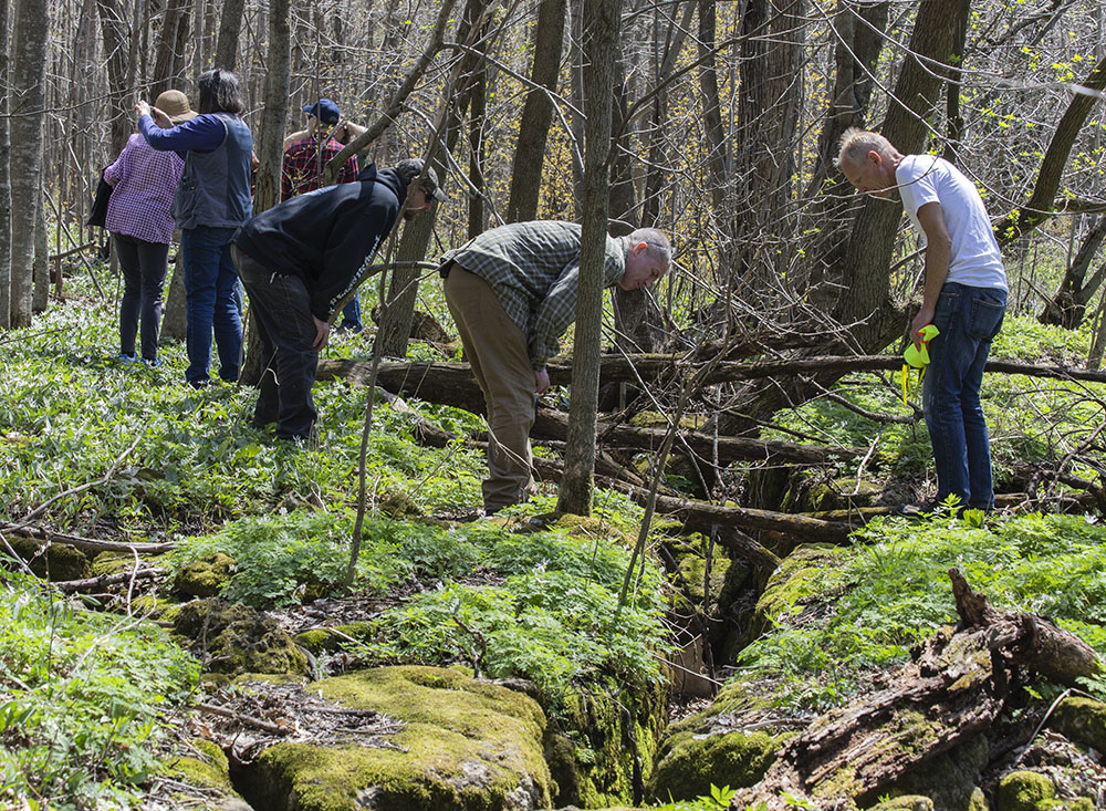 Group members peering into a gryke.