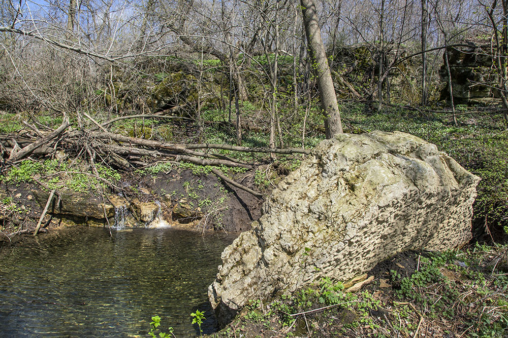 A pool created by water percolating through the dolomite and running down from the escarpment.