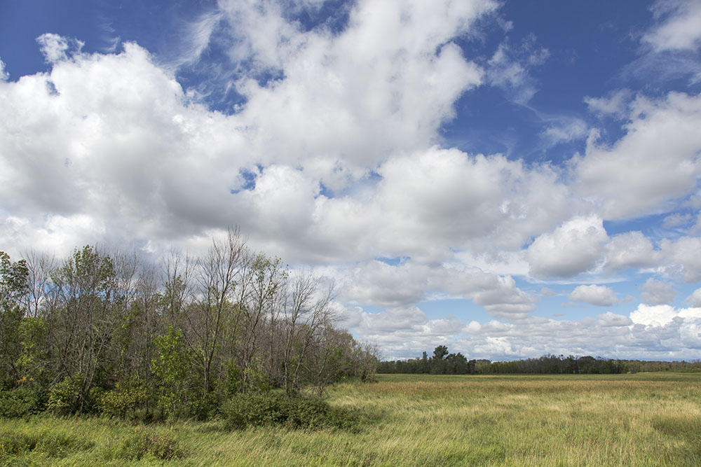 At well over 3,000 acres, the Root River Parkway is by far the largest segment of the parks system. While small woodlots are common throughout the system, here, in addition to woodlands, significant acreage of open meadows, prairies and wetlands like this remain, especially in the Franklin portion of the parkway.